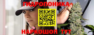 стаф Свободный