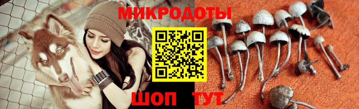 Галлюциногенные грибы ЛСД  Псилоцибиновые грибы прущие грибы  купить наркотики сайты  Вход с VPN  Кореновск 